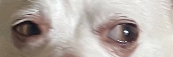 Aldelrad19's profile banner image