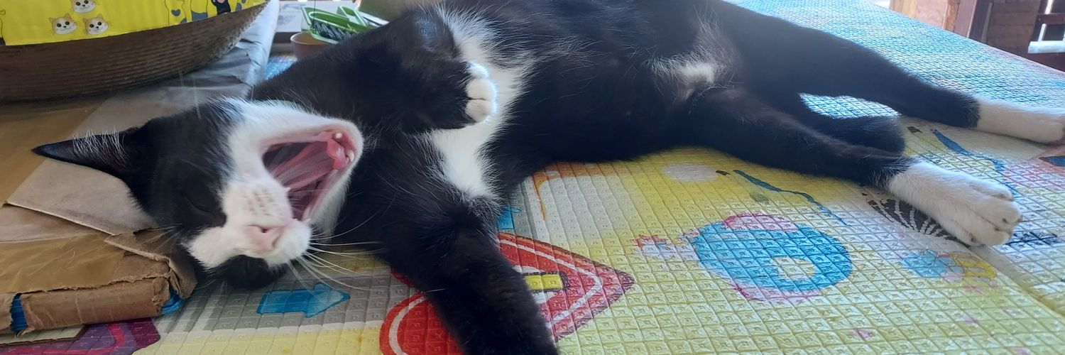 Greep *หาแมวหายในปักหมุด* ✨️🐱 banner