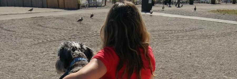AntoValcarcel95's profile banner image