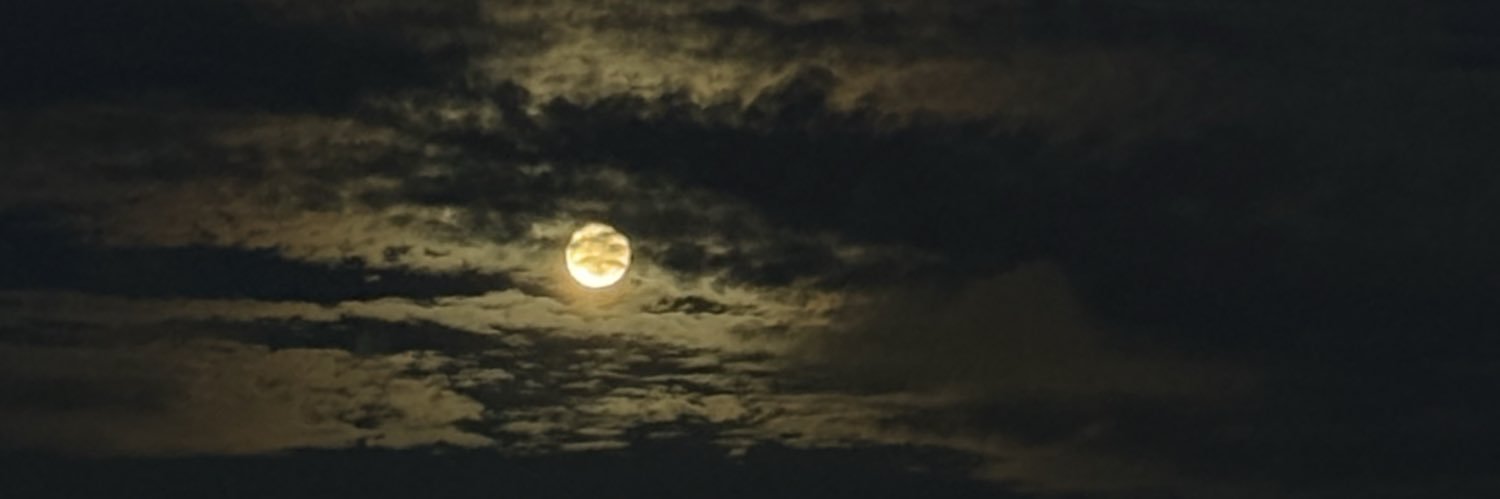 rogonzalezf's profile banner image