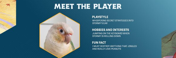 Stormyblessed Profile Banner