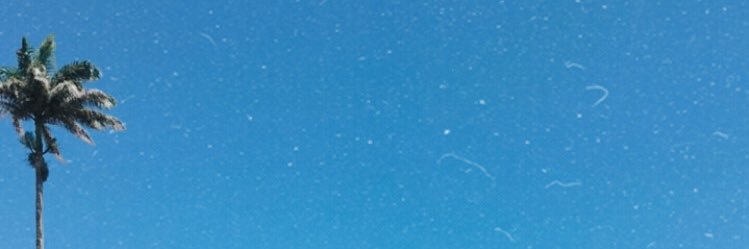 dapirocan's profile banner image