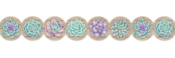AsimaBhatty Profile Banner