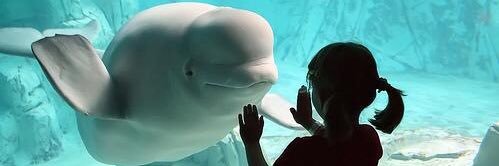 ホントつきよ。 banner