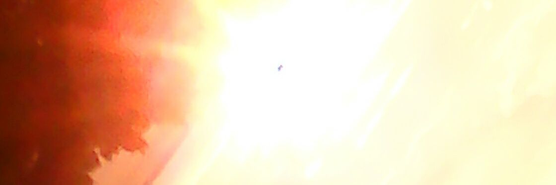 HippocraL's profile banner image