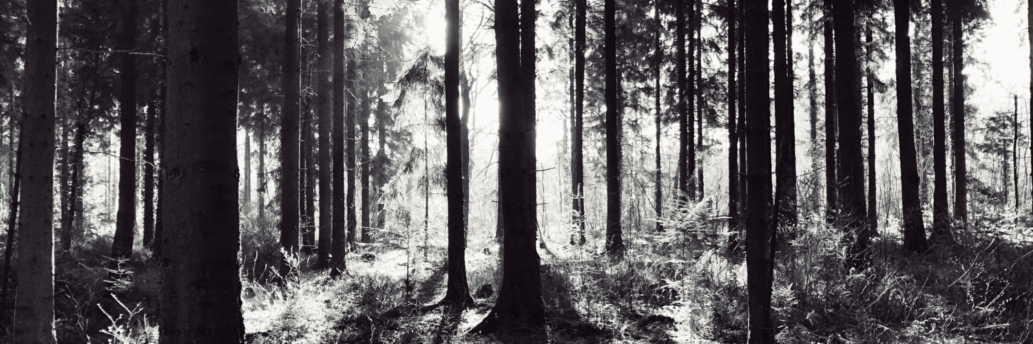 Nick Warren 🚢 banner