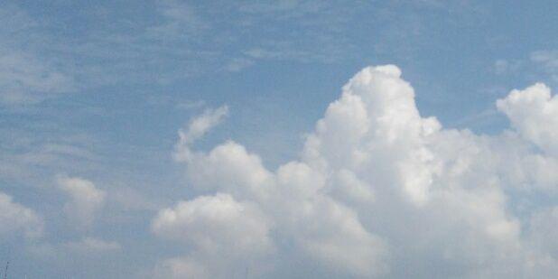 bearcat513's profile banner image