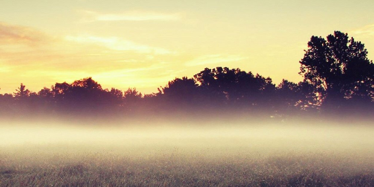 taleen1122's profile banner image