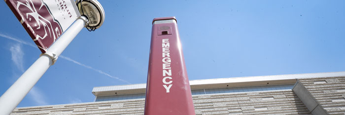 MSU_UniversitySafety banner