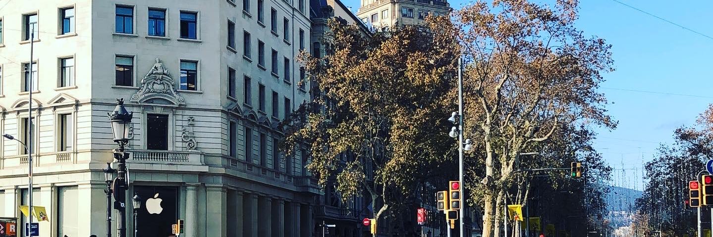 wtfmile's profile banner image