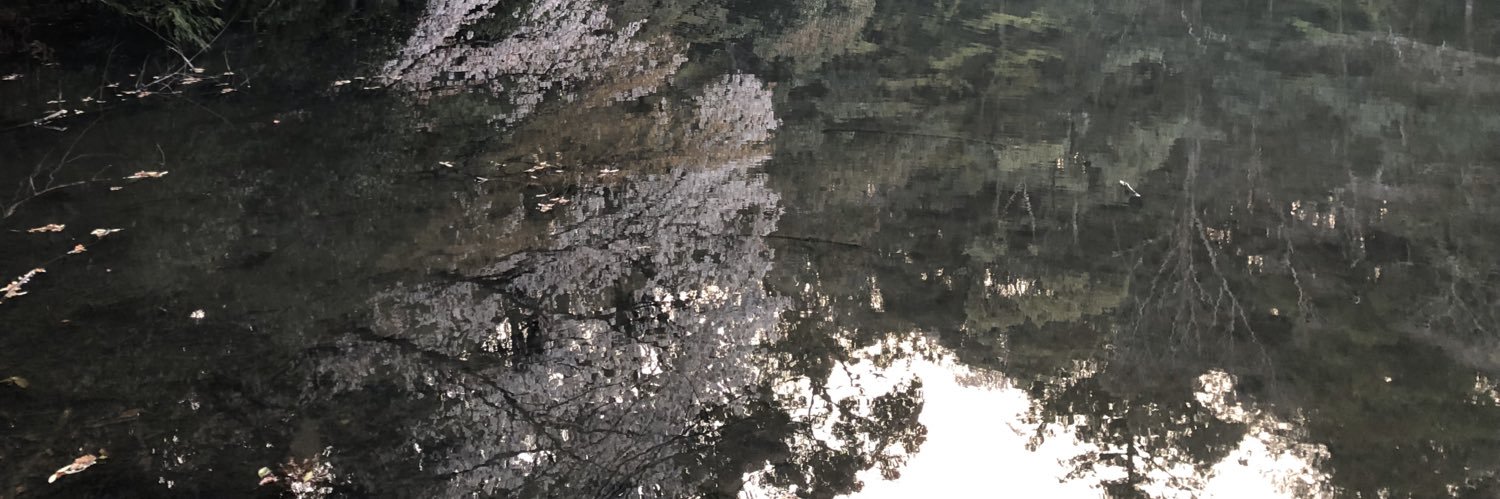 boyo_maru's profile banner image
