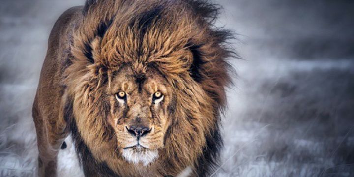 nsalazarg_'s profile banner image