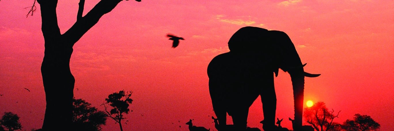 its_veee's profile banner image