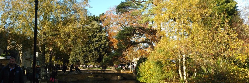 LauraHoworth's profile banner image