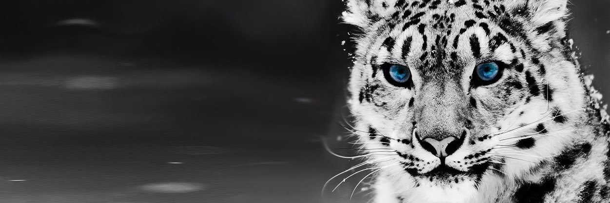 Christian☁️ banner