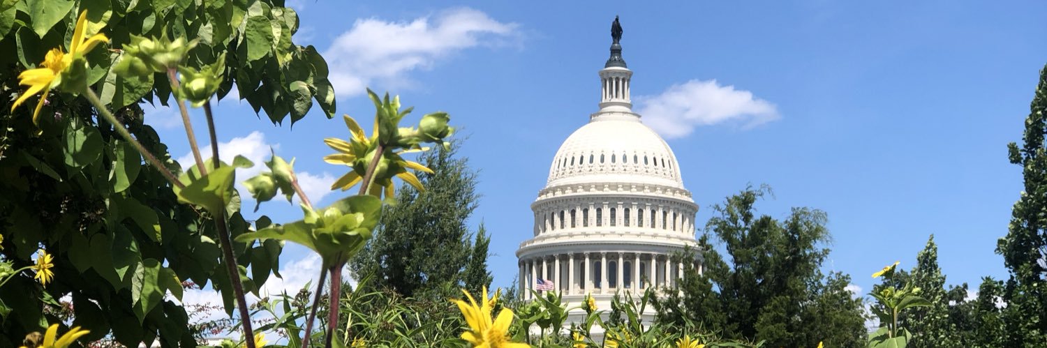 Nicole Fielder banner