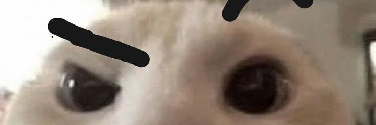 Fcosepulveda's profile banner image