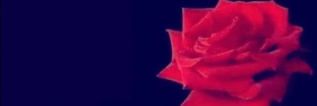 khokha55556's profile banner image