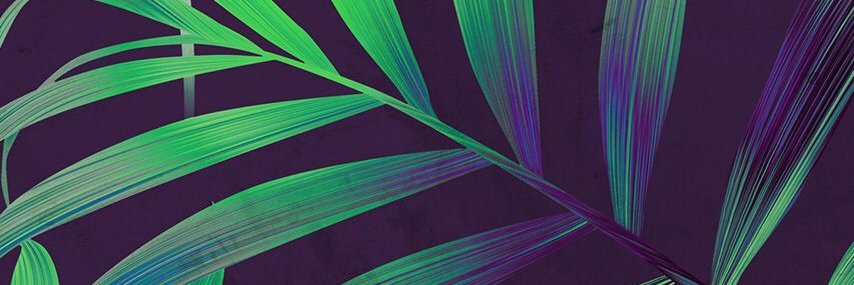 KalaLeffler's profile banner image