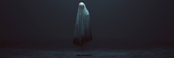 Julelebs's profile banner image