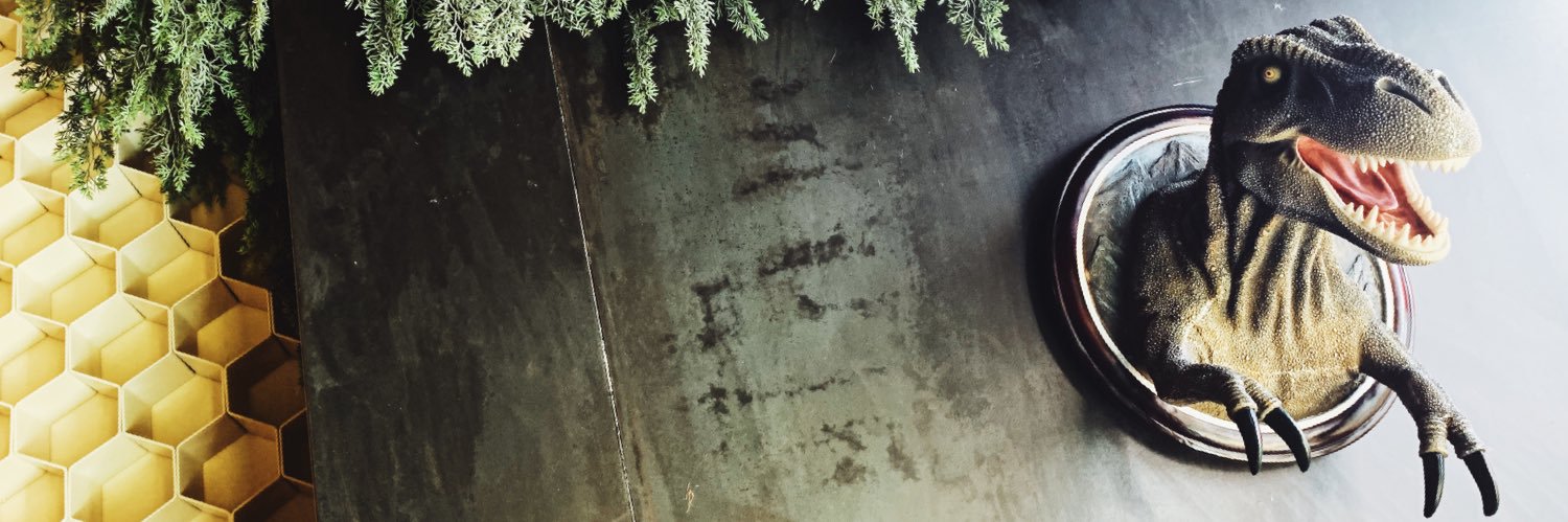 sinsoria's profile banner image