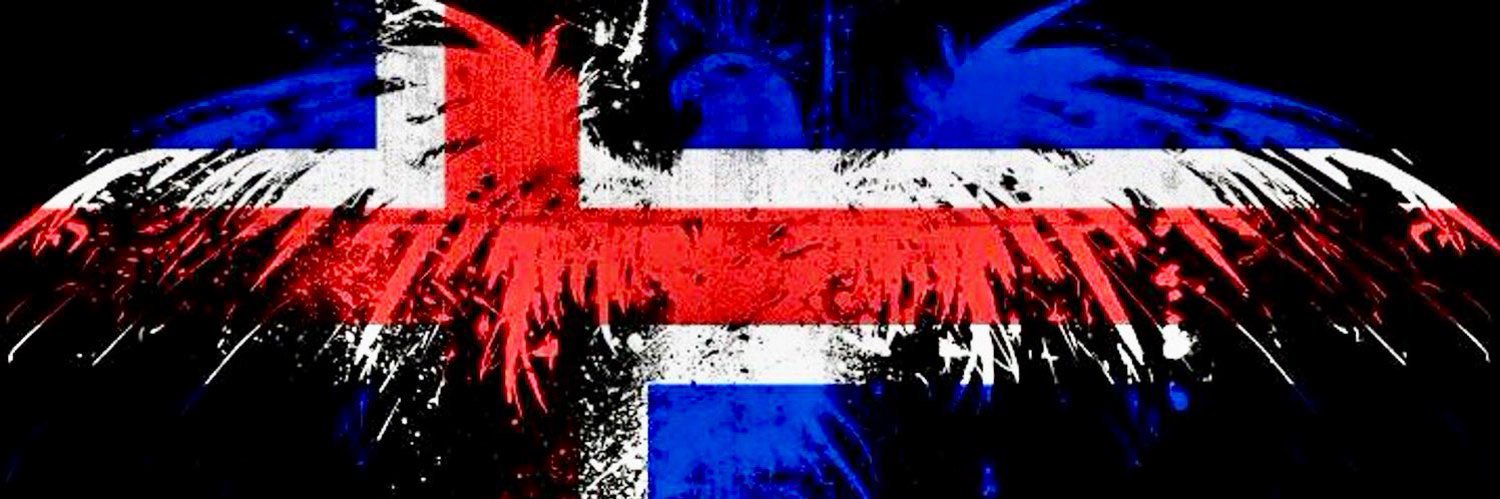 ᛗᚨᚷᚾᚢᛋ🇮🇸 banner