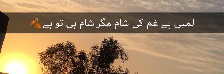 rubabhusaynn's profile banner image