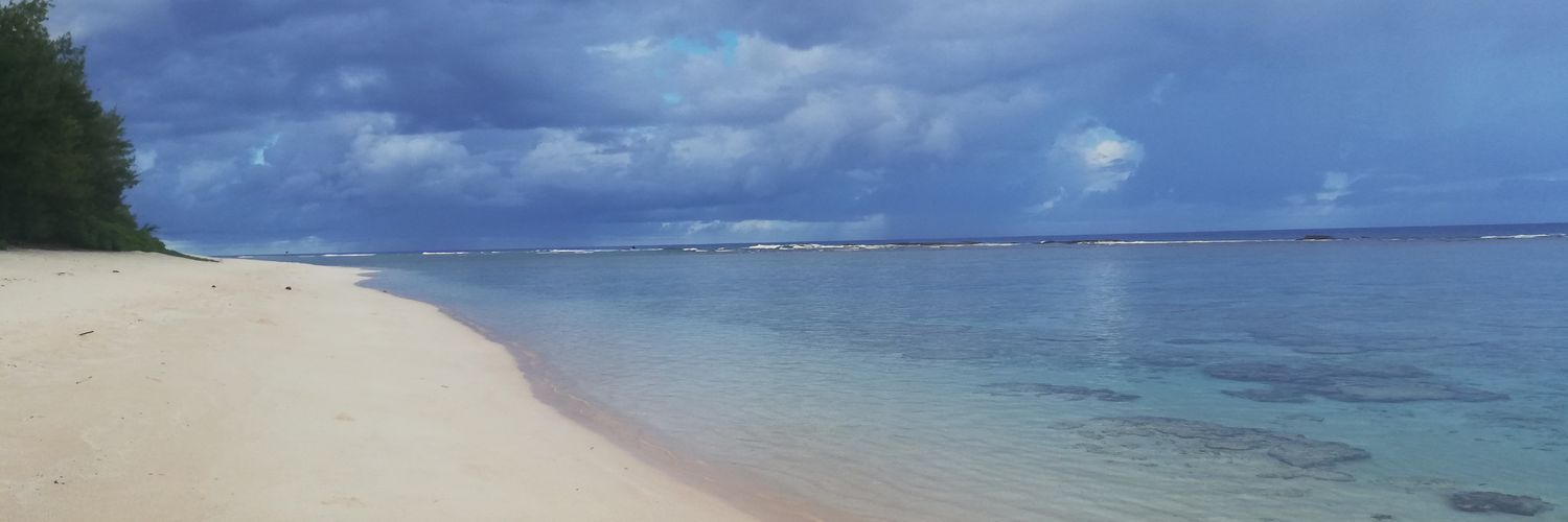 shockingpink171's profile banner image
