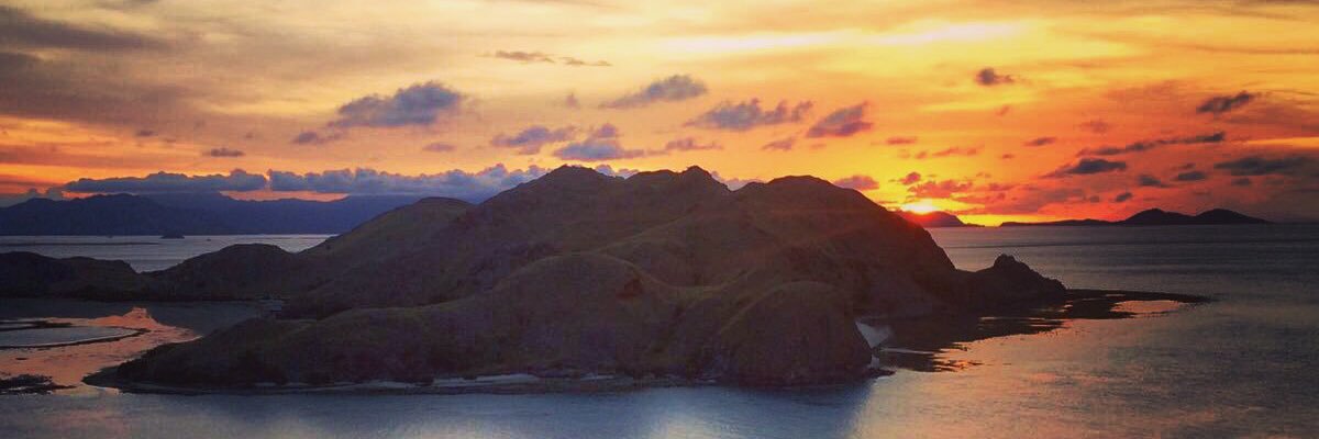Malihax's profile banner image