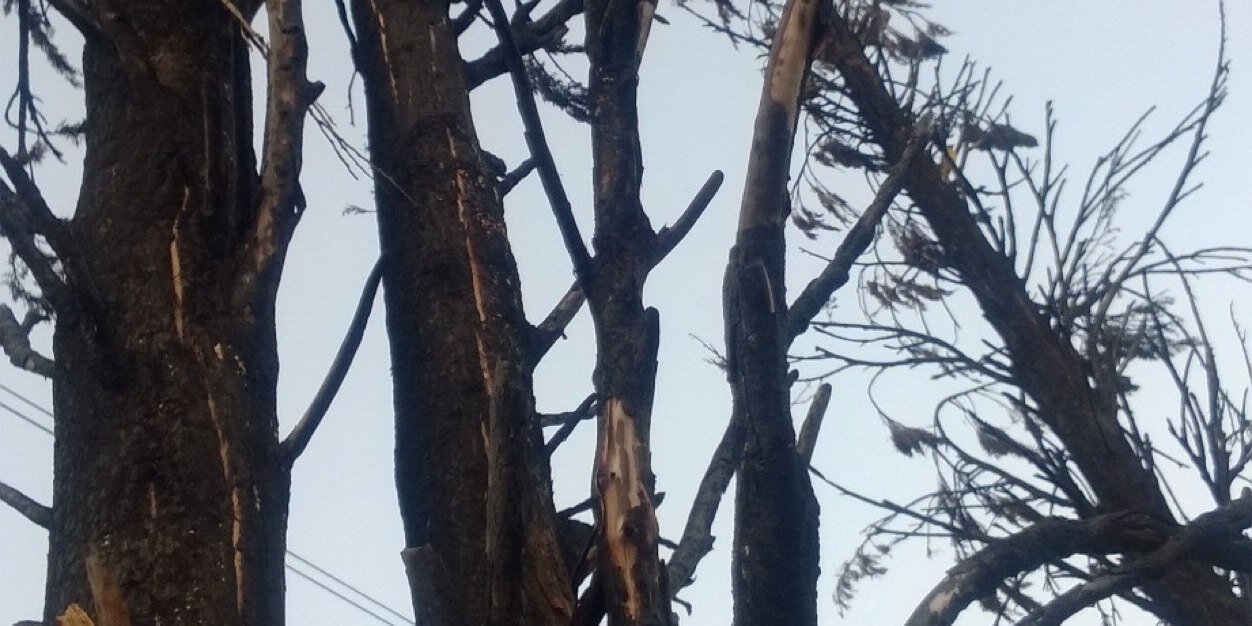 andrés ramírez banner