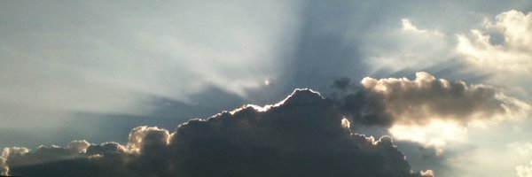 SeanBaekTO Profile Banner