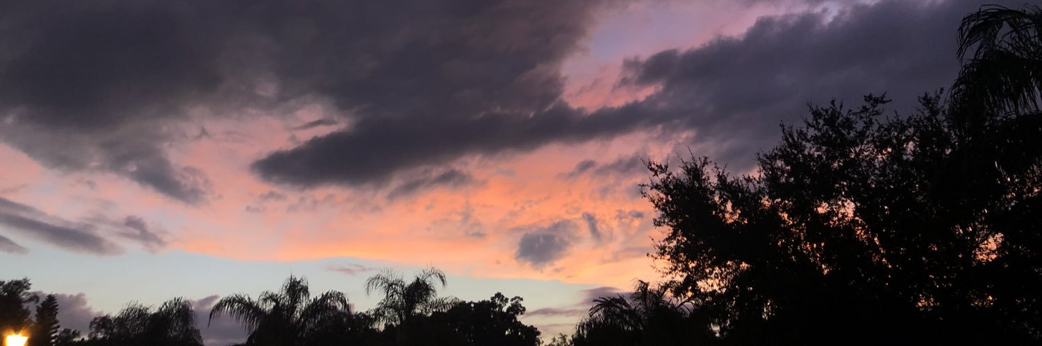 glddstwman's profile banner image