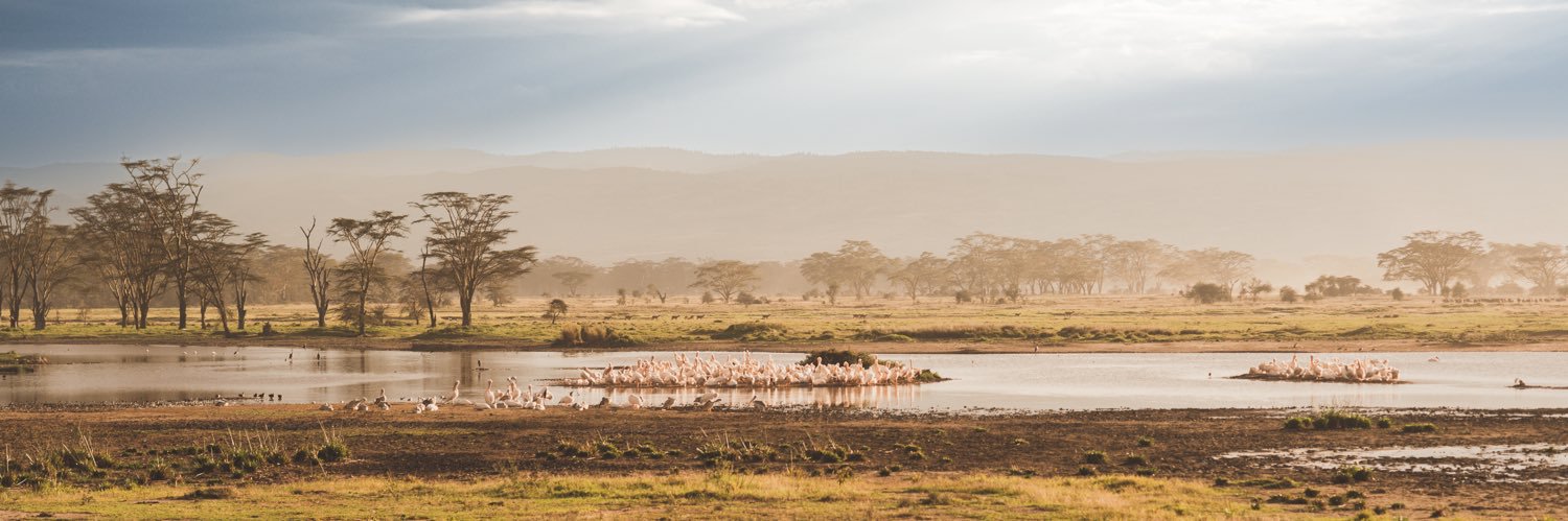 вербальный гопник banner