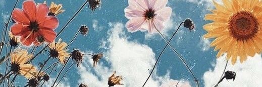 AMNESIAHIVE's profile banner image
