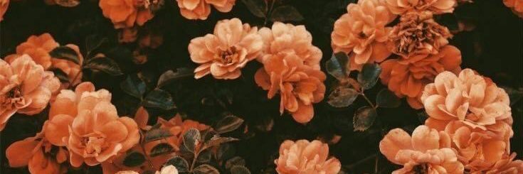 happyab16's profile banner image
