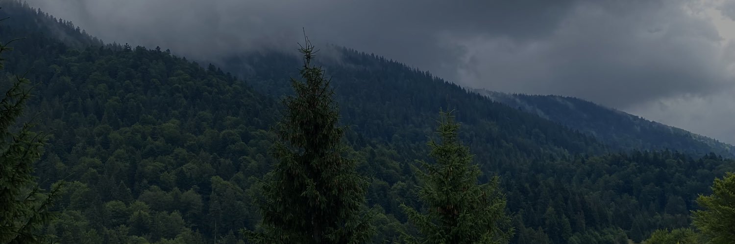 ershovanika's profile banner image