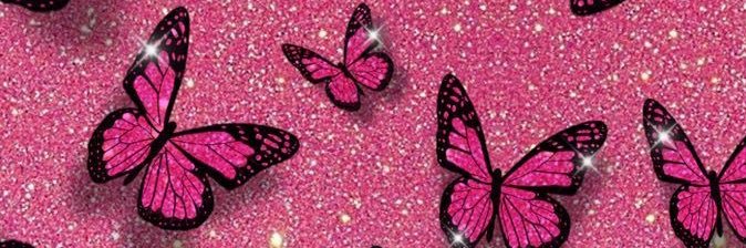 allves_sandy's profile banner image