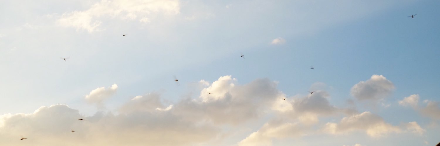 wizard_patt's profile banner image