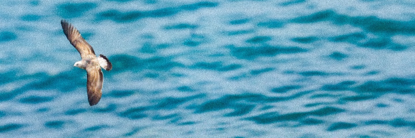 brencorv's profile banner image