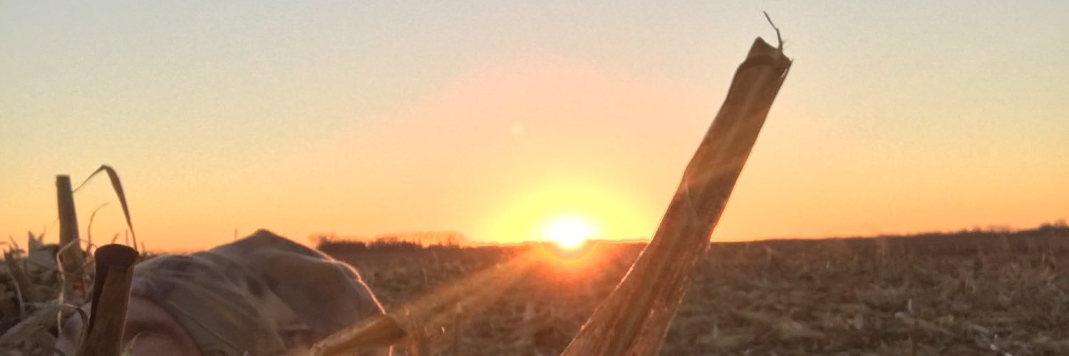 RayTLaw's profile banner image