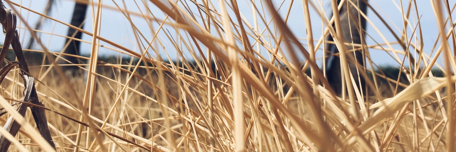 MontsePoSo's profile banner image