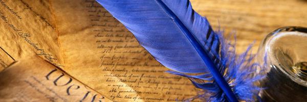 mbbevilacqua Profile Banner