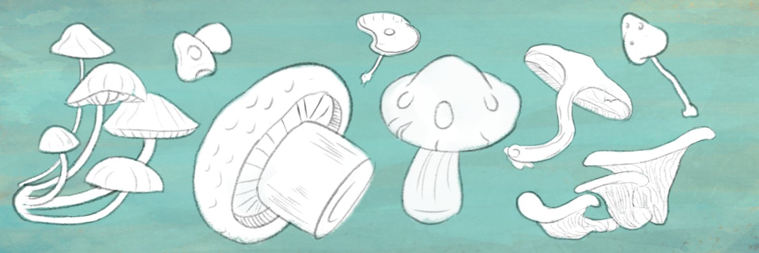 FungooDungus's profile banner image