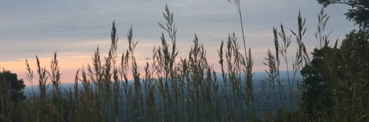 MillicentAlice's profile banner image