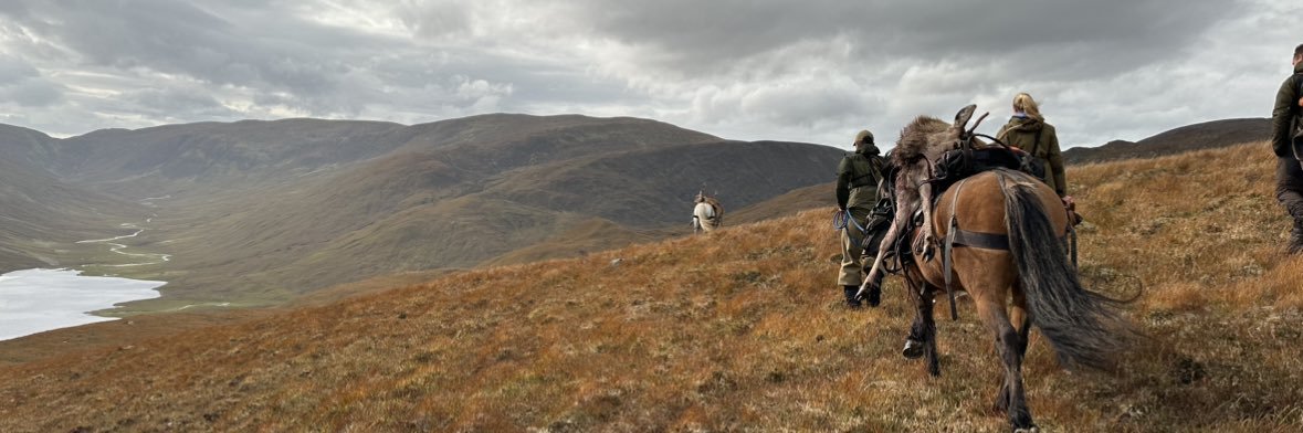 BlackIsleWildfowler banner