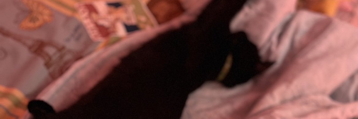 ฟกก. 🌟🌺🍁 banner