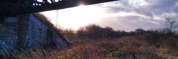 oisinmacaodha Profile Banner