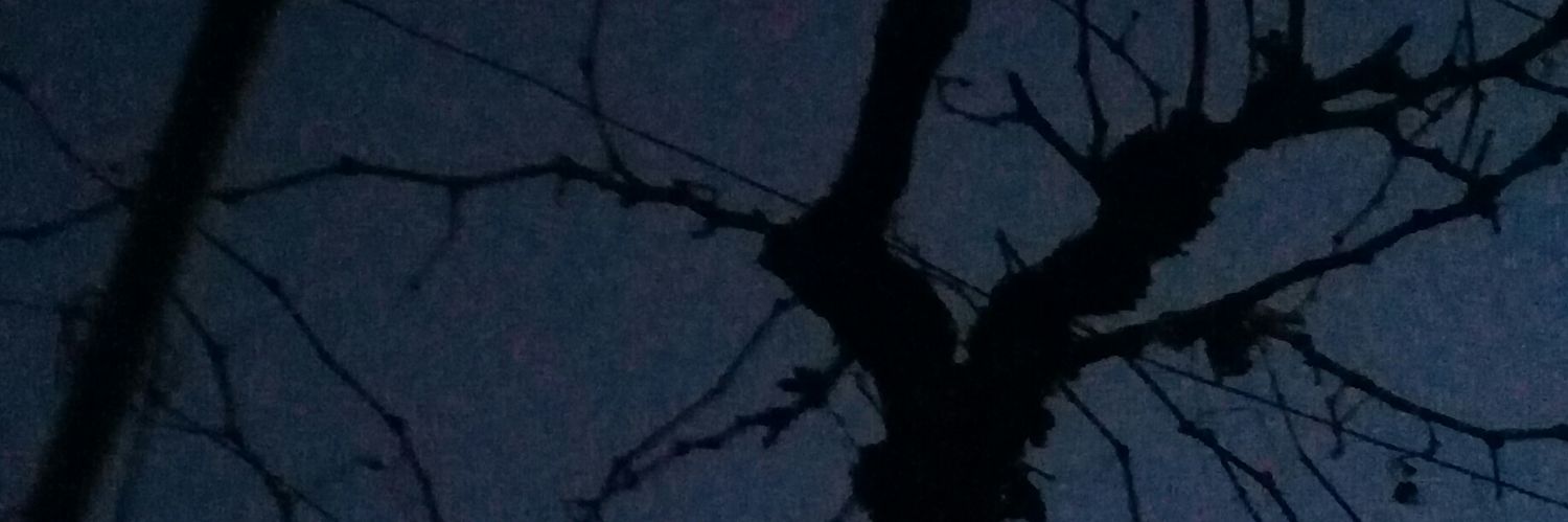Venus94087683's profile banner image