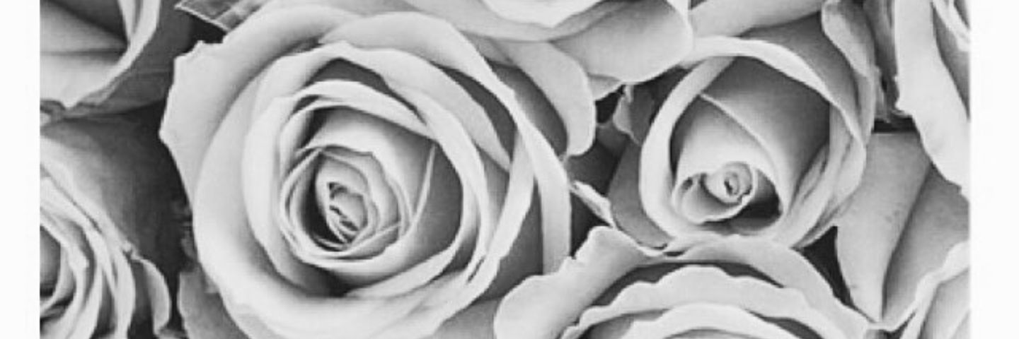 MissSamShields's profile banner image