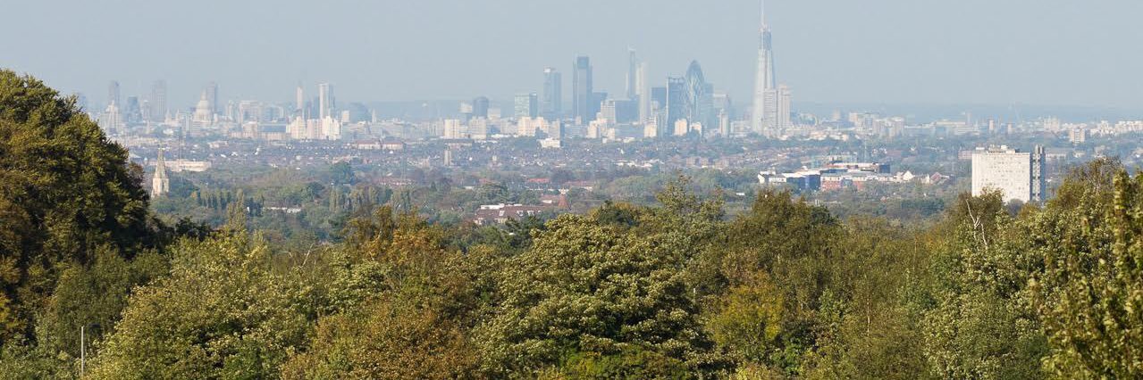 Epsom & Ewell Business Network banner